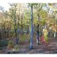 7395 Crestline Drive, Dawsonville, GA 30534 ID:11851184