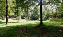 55.55 ac Vardy Blackwater Sneedville, TN 37869