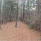 236 Hillside Drive, Dawsonville, GA 30534 ID:11812847