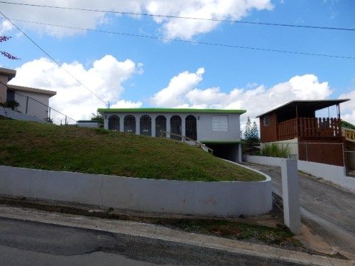 Lot 6 Wd Camino Ver, Aguas Buenas, PR 00703