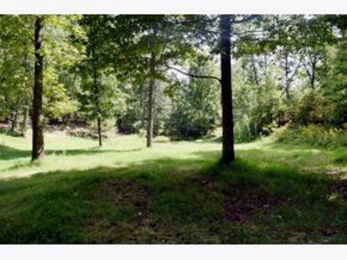 55.55 ac Vardy Blackwater, Sneedville, TN 37869