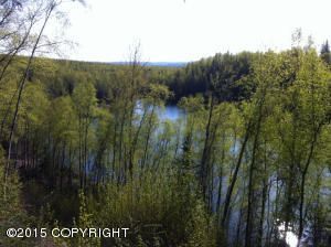 18839 UPPER FISH HATCHERY, Eagle River, AK 99577