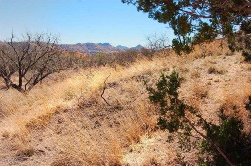 1 Casa Blanca Ranch Road, Patagonia, AZ 85624