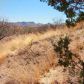 1 Casa Blanca Ranch Road, Patagonia, AZ 85624 ID:11835603