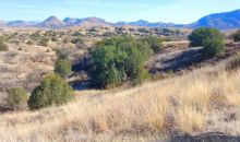 Paseo De La Liebre  #5D Patagonia, AZ 85624