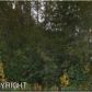 6978 S Inlet Vistas Drive, Wasilla, AK 99654 ID:12000468