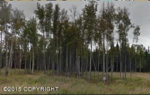 L6 B4 W Gold Bar Road, Wasilla, AK 99654