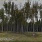 L6 B4 W Gold Bar Road, Wasilla, AK 99654 ID:11862283