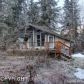 305 Brighton Road, Girdwood, AK 99587 ID:12037545