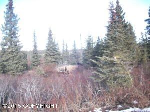 54540 Hutler Road, Homer, AK 99603