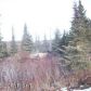 54540 Hutler Road, Homer, AK 99603 ID:12015826