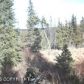 54540 Hutler Road, Homer, AK 99603 ID:12015830