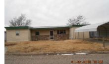 1038 THRAMS ST Borger, TX 79007