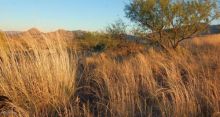 4A,B,C,D Off Temporal Canyon Road Patagonia, AZ 85624