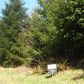 8025 Wapiti Lane SE, Tenino, WA 98589 ID:12066318