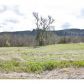 574 Brady Loop Rd E, Montesano, WA 98563 ID:12065474