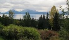 Lot 16 Kestrel Circle Homer, AK 99603