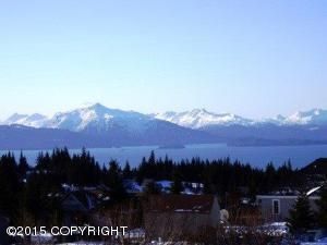 63844 E Katamar Avenue, Homer, AK 99603