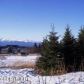 63844 E Katamar Avenue, Homer, AK 99603 ID:12122144