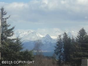 3730 Forest Glen Drive, Homer, AK 99603