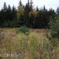 3730 Forest Glen Drive, Homer, AK 99603 ID:11949641