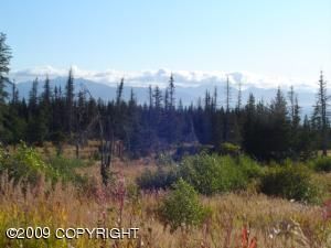 2357 Highland Drive, Homer, AK 99603