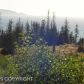 2357 Highland Drive, Homer, AK 99603 ID:12050394