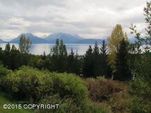 Lot 14 Kestrel Circle, Homer, AK 99603