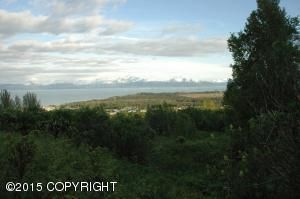 Lot 19 Kestrel Circle, Homer, AK 99603