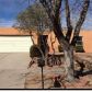 6217 El Toro Pl NW, Albuquerque, NM 87120 ID:12132853