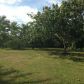 18850 SW 304 ST, Homestead, FL 33030 ID:11875375