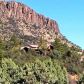 2276 Lichen Ridge Lane, Prescott, AZ 86303 ID:12160130