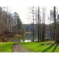 111 Hightower Lake Trail, Ball Ground, GA 30107 ID:12206305