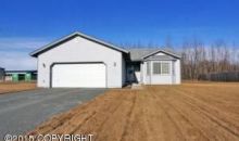 1113 N Angus Loop Palmer, AK 99645