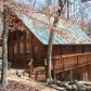 24 Channel Court, Ellijay, GA 30540 ID:12209499