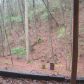 196 Valley View Road, Ellijay, GA 30536 ID:12164458