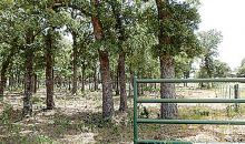 1964 W Jeter Road W Argyle, TX 76226