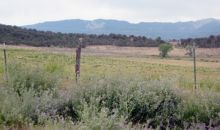 Tbd County Road 331 Silt, CO 81652