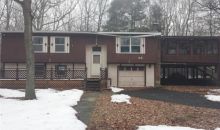 39 Piney Woods Dr Jim Thorpe, PA 18229