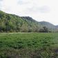 4380 Jennings Creek Hwy, Whitleyville, TN 38588 ID:12124676