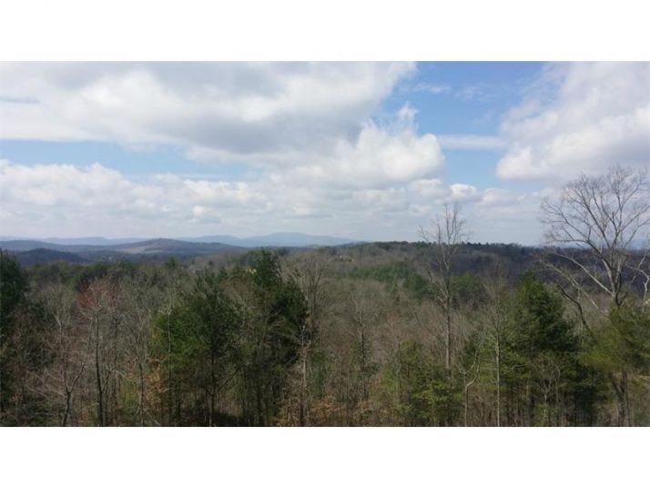 45 Big Poplar Trail, Blue Ridge, GA 30513