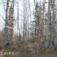 5800 E Hideaway Circle, Wasilla, AK 99654 ID:12231120