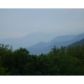 2535 Lakey Creek Road, Franklin, NC 28734 ID:12274592