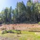 7050 Howards Crossing Rd, Placerville, CA 95667 ID:12302172