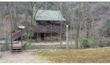 399 Joann Sisson Road Blue Ridge, GA 30513