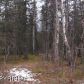 950 E Burlwood Drive, Wasilla, AK 99654 ID:12140997