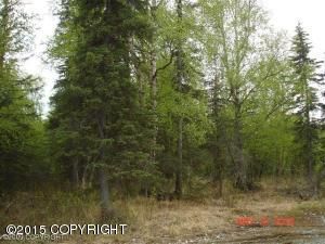 4246 S Gon Fishin Drive, Wasilla, AK 99654