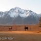 3251 S Sky Ranch Loop, Palmer, AK 99645 ID:12378415