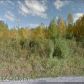 13021 S Lewis Loop, Wasilla, AK 99654 ID:12333737