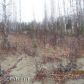 13021 S Lewis Loop, Wasilla, AK 99654 ID:12333744